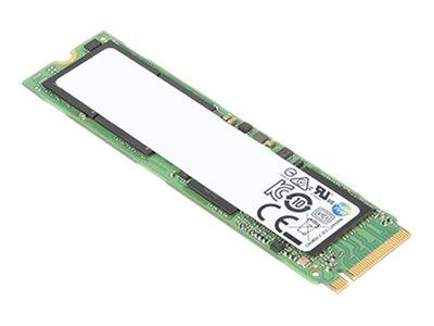 LENOVO - NOTE-OPT - THINKPAD 256GB M.2 2280 PCIE NVME 4X4 - 4XB0W79580 - ZUSTAND: BULK